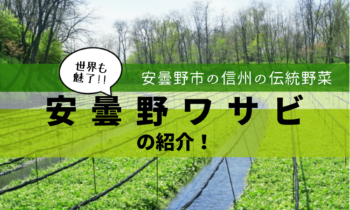 安曇野ワサビアイキャッチ